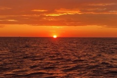 IMG_2878